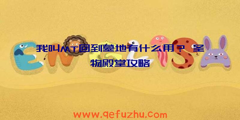 我叫MT回到墓地有什么用？